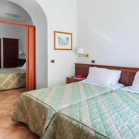 Montana Hotel 4*